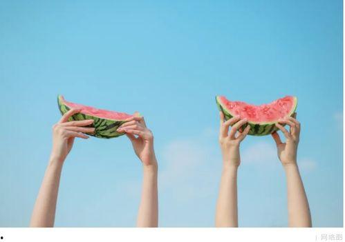 画中画吃瓜,揭秘吃瓜背后的趣味与哲理