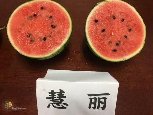 平湖吃瓜,吃瓜群众欢乐多