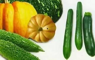 6点6吃瓜,一场网络热词背后的文化现象