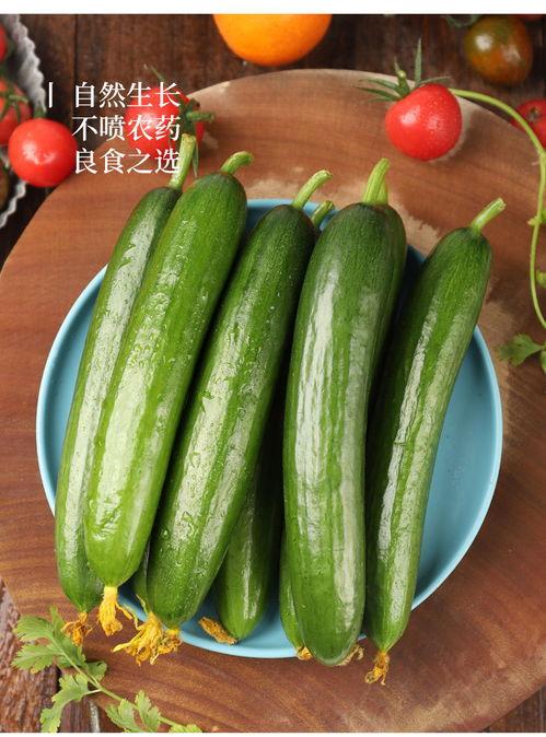 脾虚可以吃小瓜吗,脾虚人群适宜食用的小瓜推荐