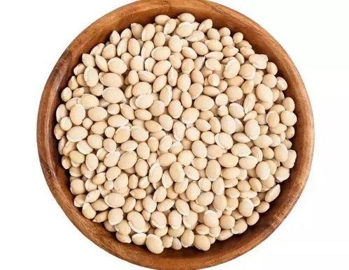 吃瓜吃豆的生肖,探寻生肖中的趣味与智慧