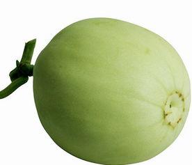 减肥可以吃梨瓜吗,减肥期间的理想水果选择